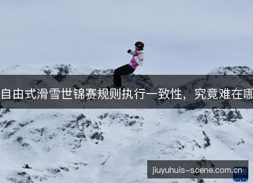 自由式滑雪世锦赛规则执行一致性，究竟难在哪